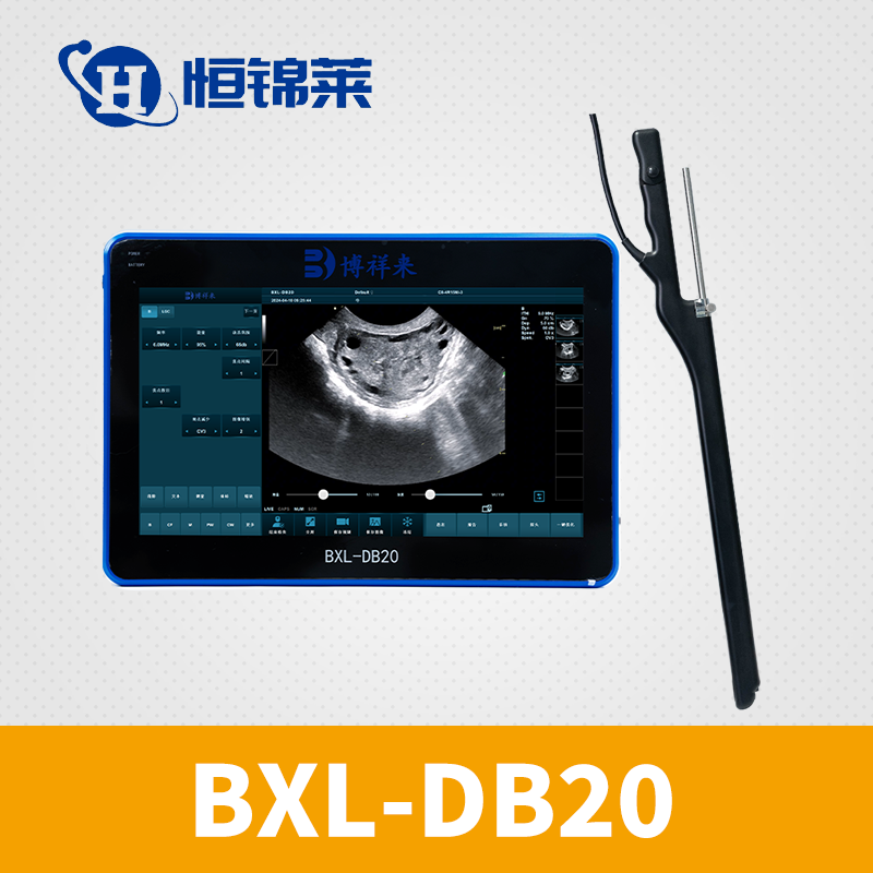 牛马OPU活体采卵仪 BXL-DB20