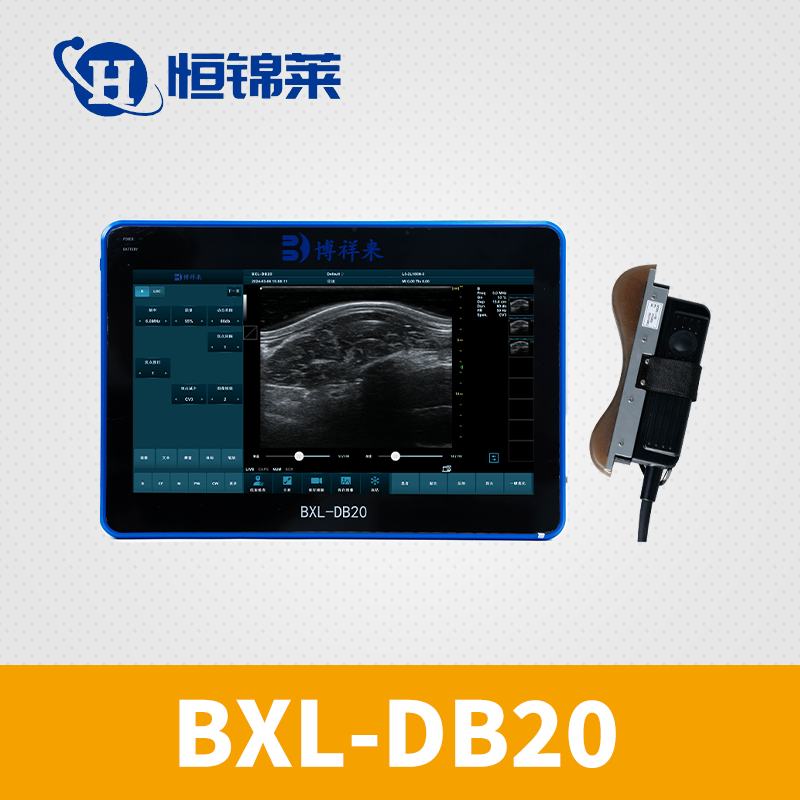 猪牛羊背膘眼肌测定仪 BXL-DB20