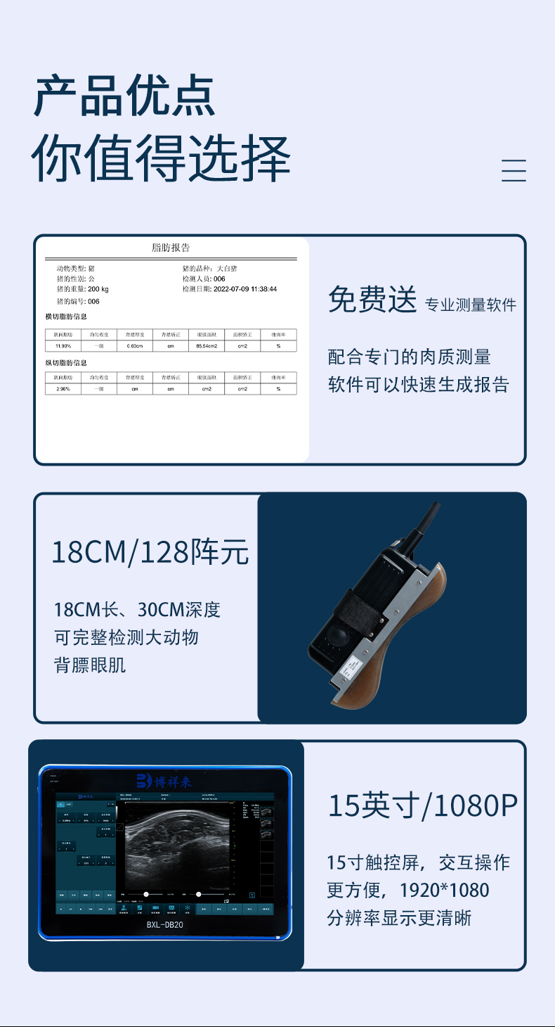 背膘眼肌测定仪国产